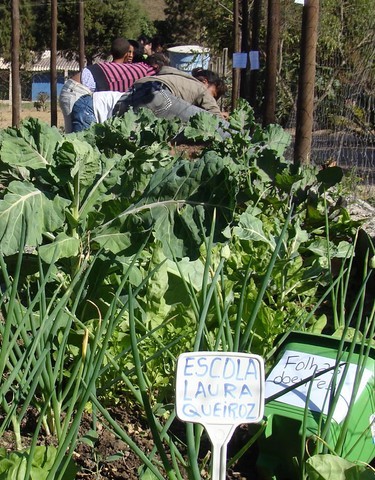 Memórias de Atividades da ONG Verde
