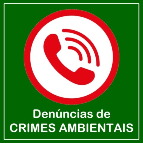 Como e Onde Denunciar Crimes Ambientais Como e Onde Denunciar Crimes Ambientais