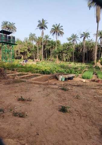 Parceria entre CEA Mandembo e AJAGB - Projeto Nha Escola