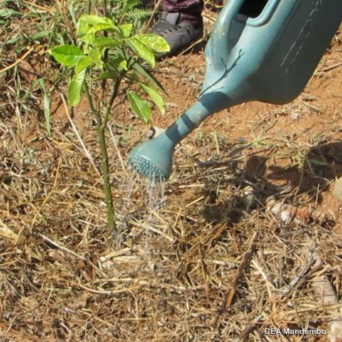 Agroecologia - O Caminho das Soluções Agroecologia - O Caminho das Soluções